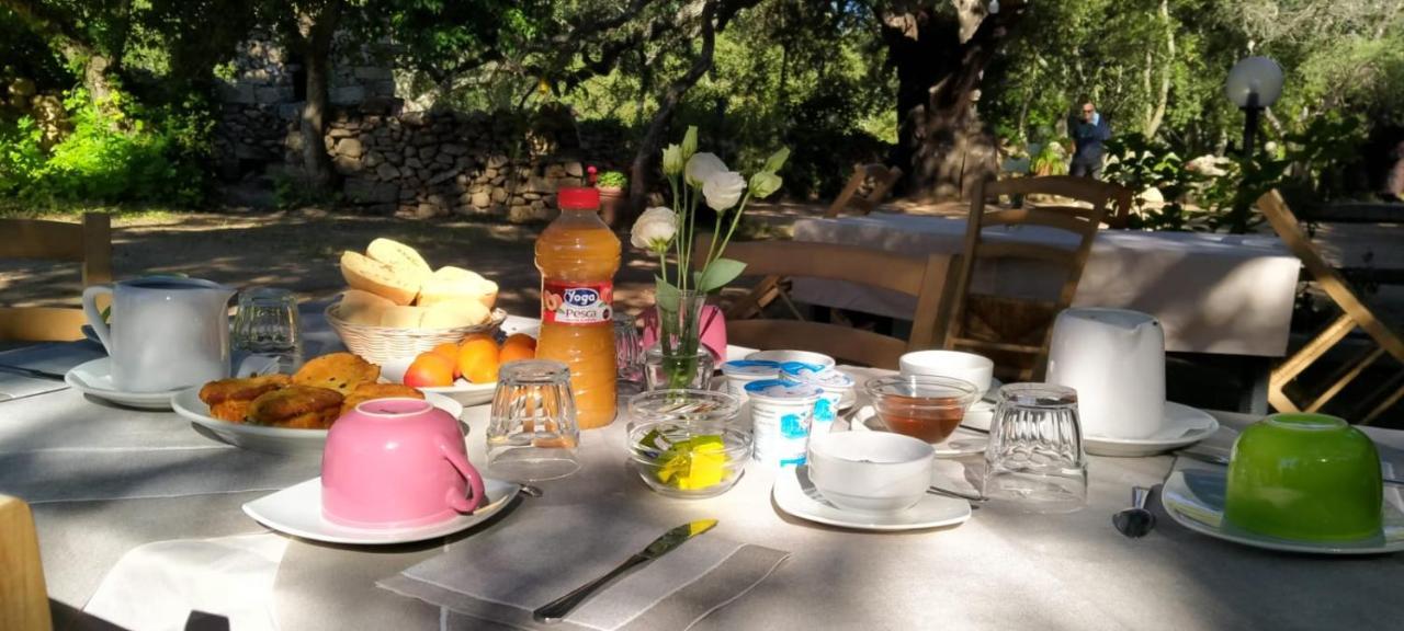 Agriturismo Casteddu Padru المظهر الخارجي الصورة