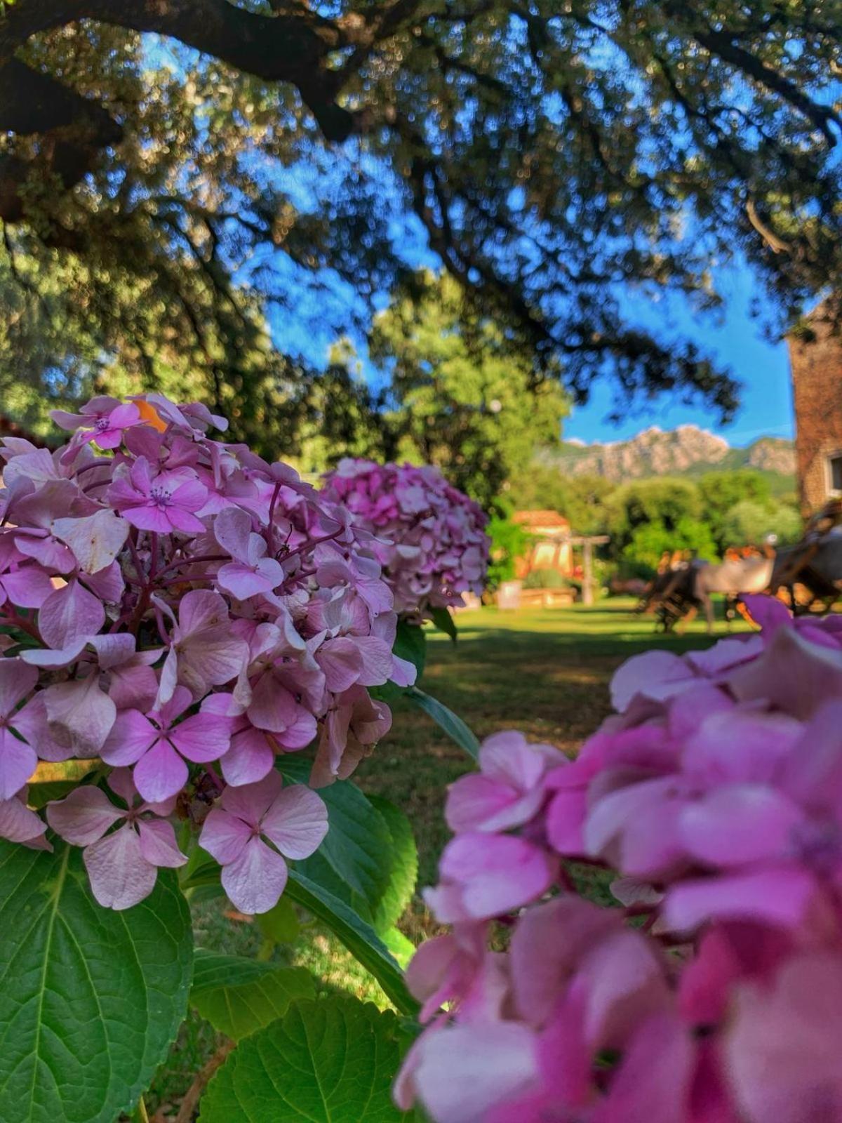 Agriturismo Casteddu Padru المظهر الخارجي الصورة