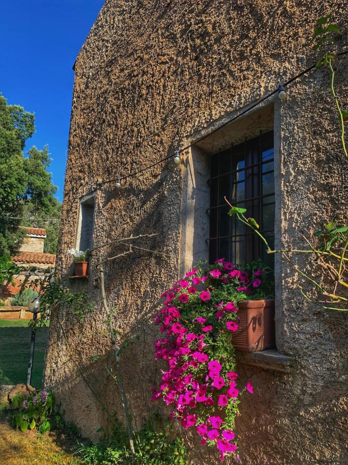Agriturismo Casteddu Padru المظهر الخارجي الصورة