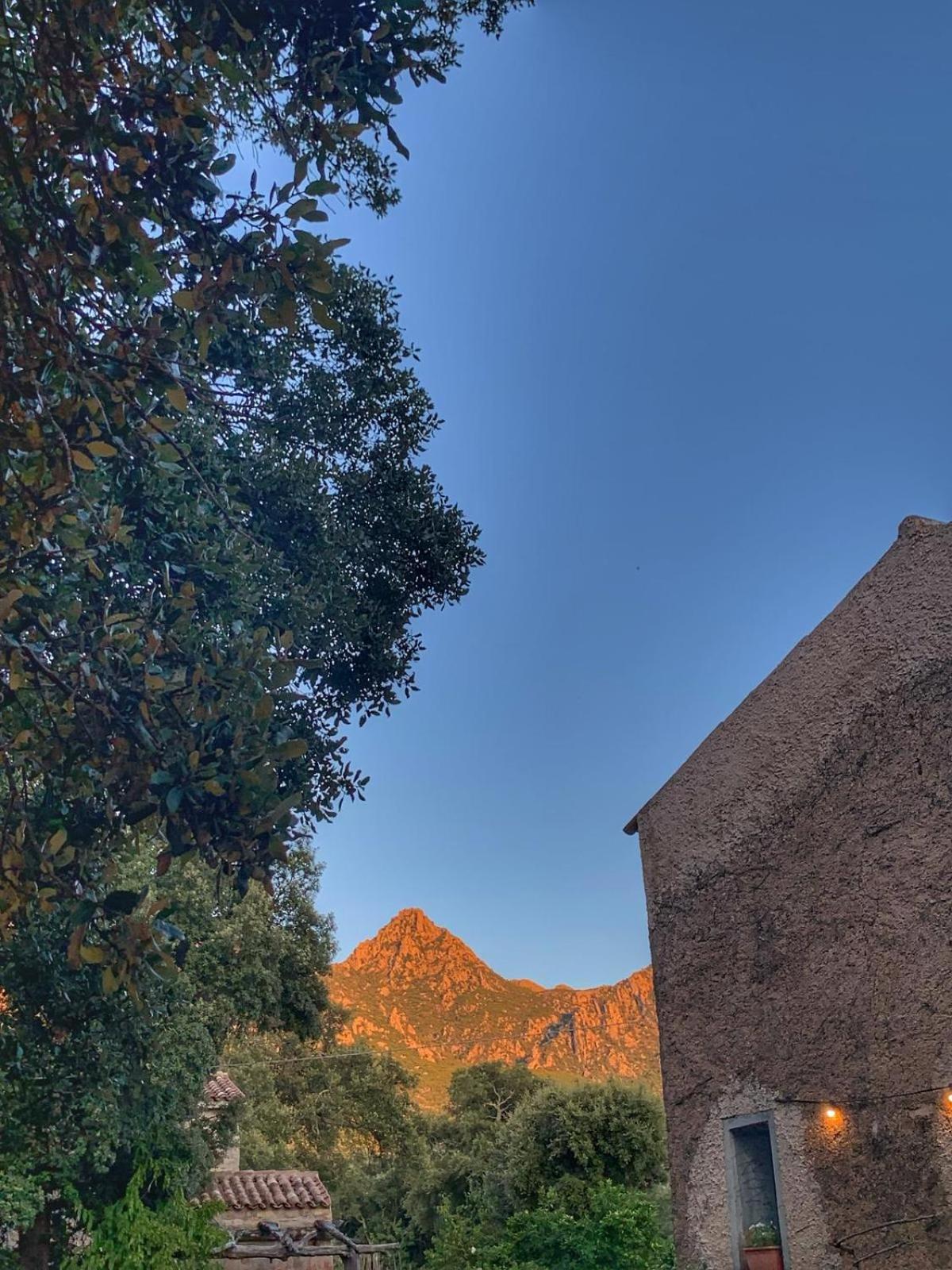 Agriturismo Casteddu Padru المظهر الخارجي الصورة