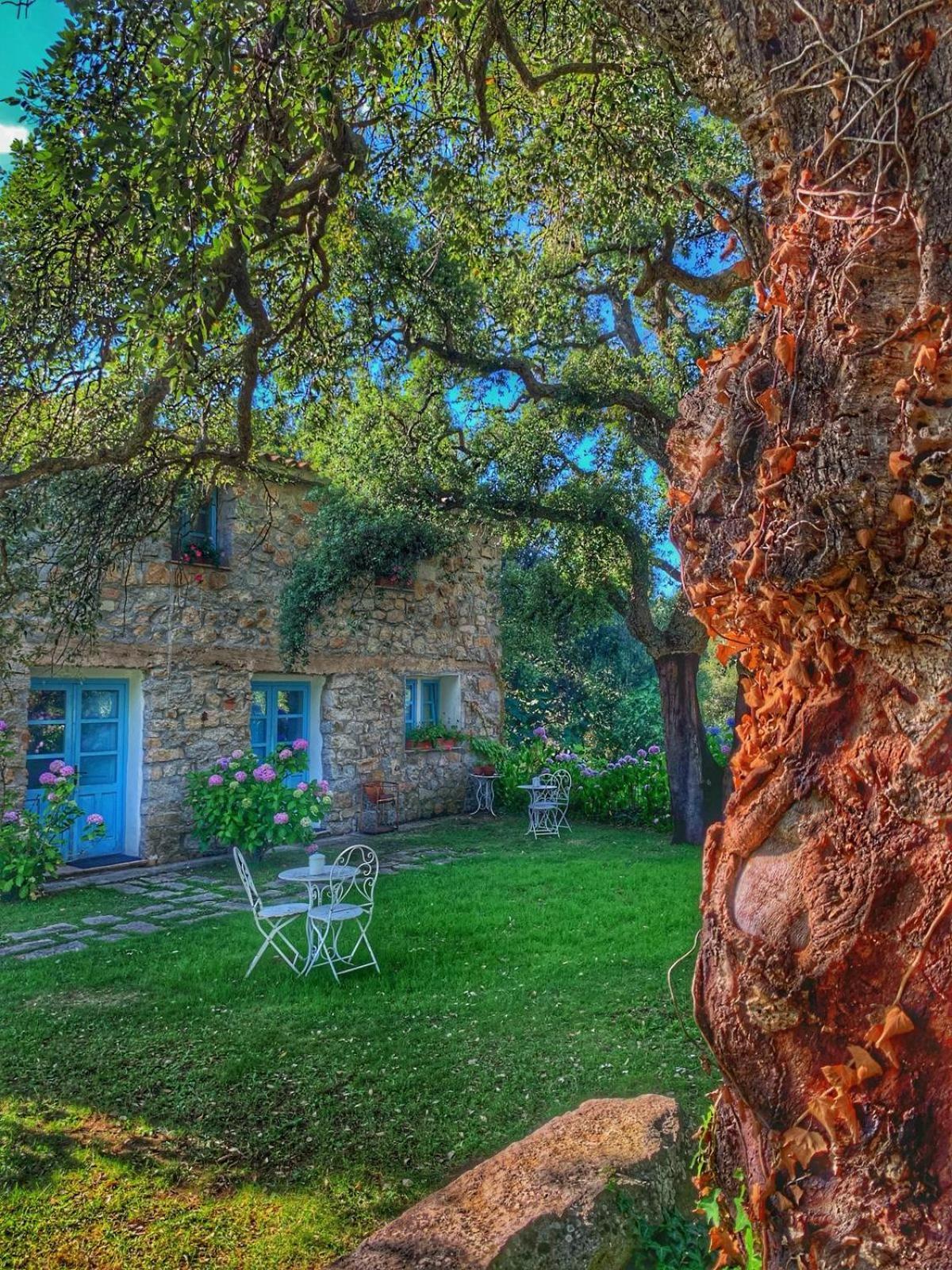 Agriturismo Casteddu Padru المظهر الخارجي الصورة